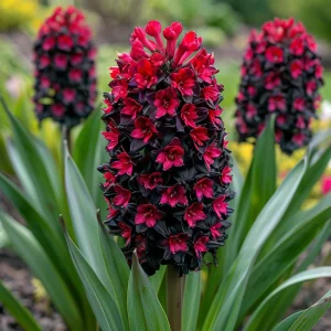 Гиацинт Джем Стоун купить по цене от 2099р. в интернет-магазине «Посадика» с доставкой почтой в в Белокурихае и по всей России – [изображение №1].