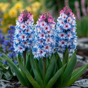 Гиацинт Пинк Мари купить по цене от 2099р. в интернет-магазине «Посадика» с доставкой почтой в в Белокурихае и по всей России – [изображение №1].