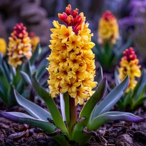 Гиацинт Миднайт Мистери купить по цене от 2099р. в интернет-магазине «Посадика» с доставкой почтой в в Белокурихае и по всей России – [изображение №1].