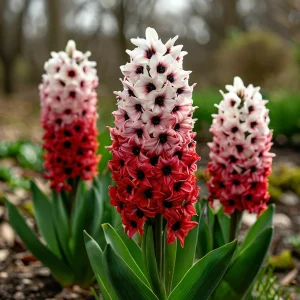 Гиацинт Скай Гарден купить по цене от 2099р. в интернет-магазине «Посадика» с доставкой почтой в в Белокурихае и по всей России – [изображение №1].