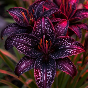 Лилейник Вояж купить по цене от 699р. в интернет-магазине «Посадика» с доставкой почтой в в Белокурихае и по всей России – [изображение №1].